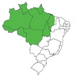 Thumbnail of Map of Brazil showing the Amazon region (green).