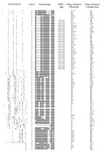 Thumbnail of Genotype and phenotype classification drug-resistant isolates from each case-patient. Insertion sequence (IS) 6110 DNA fingerprints of a single Mycobacterium tuberculosis isolate from 122 case-patients, South Africa, 2003-2005 are shown. Spoligotype patterns from 126 case-patients are shown. Isolated from 74 case-patients were grouped into 11 clusters (4 clusters had 2 cases, 4 clusters had 3 cases, 1 cluster had 4 cases, 1 cluster had 8 cases and 1 cluster had 42 cases). Mycobacter