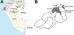 Thumbnail of Peru, showing the Department of Tumbes, the city of Iquitos, and the Requena District located in the Loreto region of the Peruvian Amazon (A) and the 13 districts in the Department of Tumbes (B). Gray shading indicates the 4 districts (Tumbes, Corrales, Aguas Verdes, and San Juan de la Virgen) where the 210 cases were reported during the 2010–2012 outbreak of Plasmodium falciparum malaria; blue lines indicate travel routes by river; red line indicates travel route by road. 