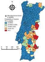 Thumbnail of Choropleth map of risk for bovine TB in wildlife, Portugal, showing the probability of the presence of bovine TB in wildlife in counties based on the conditional autoregressive spatial generalized linear mixed model. Stars indicate counties in which Mycobacterium bovis was isolated from free-ranging wildlife, determined on the basis of independent published data (6,29–32). TB, tuberculosis.
