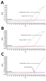 Thumbnail of TaqMan array card amplification plots for 2 dengue virus–positive samples and 1 negative sample in study of dengue virus among 166 children with suspected malaria, Accra, Ghana, October 2016–July 2017. Blood samples (2.5 mL of the 5.0 mL collected) obtained from children reporting to the hospital with acute febrile illness (AFI) were screened for 26 pathogens simultaneously by using the real-time PCR TaqMan array card. The cards were in 384-well format, and each well contained 1 µL 