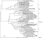 Thumbnail of Phylogenetic tree displaying the genetic relatedness of the classical swine fever virus (CSFV) isolate obtained from the 2018 classical swine fever (CSF) outbreak in Japan to other CSFV isolates. Phylogenetic analyses were performed by using the neighbor-joining method with complete E2 (1,119 nt) sequences, including 1,000 iterations for bootstrap analysis, and were generated by the genetic typing module of the CSF database at the European Union and OIE Reference Laboratory for Clas