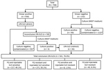 Thumbnail of Flow diagram of participants and testing results in study of limitation of shorter treatment regimen for multidrug-resistant tuberculosis by high resistance to fluoroquinolone, Uttar Pradesh, India. *Inconclusive LPA-SLD (n = 167; 23.6% of total samples received). LPA-SLD, line-probe assay for second-line drugs; FQ, fluoroquinolones; MGIT, Mycobacterium growth indicator tube.