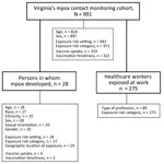 Mpox contact tracing and symptom monitoring cohort (n = 991), Virginia, USA, May 1–November 1, 2022. Analyzed subcohorts included persons in whom mpox developed (n = 28) and healthcare workers exposed at work (n = 275).