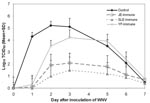 Thumbnail of Summary of mean (±SD) West Nile virus (WNV) titers in daily blood samples from four groups of 10 hamsters each (control, Japanese encephalitis virus [JEV]-immune, St. Louis encephalitis virus [SLEV]-immune, and Yellow fever virus [YFV]-immune) after intraperitoneal inoculation of 104 tissue culture infective dose (TCID)50 of WNV. Mean virus titers are expressed as log10 TCID50/mL of blood.