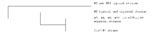 Thumbnail of Dendogram to illustrate genetic differences between typical and atypical enteropathogenic Escherichia coli (EPEC) strains and E. coli O157:H7 strains.