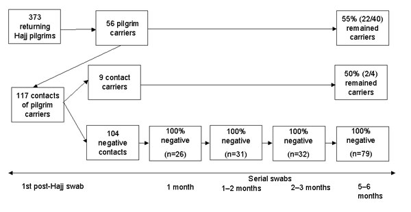 Results of serial tonsillopharyngeal swab specimens from returning Hajj pilgrims and their household contacts. A pilgrim carrier is a returning pilgrim with tonsillopharyngeal carriage of the W135 clone; a contact carrier is a household contact of a pilgrim carrier and carries the W135 clone.