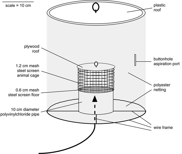 Major features of hamster-baited traps used to identify vectors of Venezuelan equine encephalitis virus. Arrow shows entry route of mosquitoes.