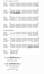 Thumbnail of ArgTCT locus. ArgTCT sequences from Entamoeba histolytica HM-1:IMSS (GenBank accession no. AZ535059), E. dispar SAW760 (GenBank accession no. AF 525284), E. moshkovskii Laredo (GenBank accession no. AF 525285), and MS15-3646 (GenBank accession no. AF525286) were aligned at the 5´(A) and 3´ (B) ends to design E. moshkovskii–specific primers. The EmR primer sequences are shown in italic and bold with E. moshkovskii–specific positions underlined. C. Schematic representation of ArgTCT l