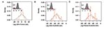 Thumbnail of Synchrony in the timing of the peaks of influenza epidemics for 26 influenza years (1972–1997). Distribution of the time lags between the epidemic peaks in weeks (main plot). The red bars represent the observed lags, and the dashed line represents the distribution of lags obtained by permutations. (inset plot) Distribution of the standard deviation of permuted lags under the assumption of no synchrony. Red arrow indicates the standard deviation in the observed data. A, United States