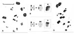 Thumbnail of Meiotic pairing in the experimental male hybrid progeny between Andean and non-Andean specimens of Triatoma infestans. Scale bar = 10 μm. A: First meiotic metaphase in an insect obtained by crossing a female from Andean region (with C-banded X chromosomes) with a male from non-Andean region. As expected, both sex chromosomes are heterochromatic. As observed in normal specimens, the ten bivalents form a ring with the univalent sex chromosomes in the middle. Chromosome pairing was nor