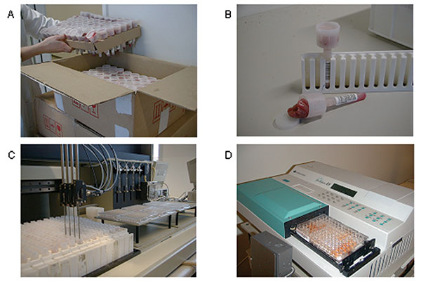 A) Receipt of pork samples from the slaughterhouse. Each tube is labeled with a barcode, indicating herd of origin. Samples are frozen overnight. B) The tube is entered in a rack with the barcode facing outward. Meat juice sieves into the tube from the container during thawing. C) Withdrawal of meat juice from tube and transfer to microtiter tray. D) Enzyme-linked immunosorbent assay analysis, reading, and transfer of results to central database.