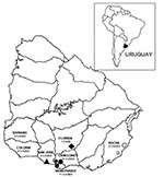 Thumbnail of Locations of capture sites and enzyme-linked immunosorbent assay–confirmed hantavirus pulmonary syndrome case-patients in Uruguay. Capture sites: red triangle = Puntas de Valdéz, green diamond = Piedritas, blue circle = Sauce, yellow star = Cerrillos, green square = Melilla.