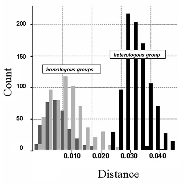 Histogram of the observed distances (Kimura two parameters method) within Canary Islands and Iberian Peninsula groups (dark gray) and between them (light gray). Analysis of variance (ANOVA) (one-way) test results: F=5238 (p=0.000). Distances within homologous groups: Canary Islands (light gray): mean 0.008 (standard deviation [SD] 0.004; n=351); Iberian Peninsula (dark gray): mean 0.010 (SD0.006; n=666). Distances between heterologous groups (black): mean 0.033 (SD 0.005; n=999).