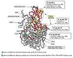 Thumbnail of Mapping of the echovirus (EV) 13 VP1 amino acids. The three-dimensional structure is projected onto EV11 structure (GenBank accession no. 1H8TA) with VP1 amino acid numbering according to EV11. The sequenced fragment is shown in red. Previously reported neutralizing antigenic sites for poliovirus, CBV4, and SVDV are shown in yellow. The enterovirus canyon structure is found in a similar location to the canyon structure of poliovirus as reported by (40).