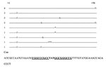 Thumbnail of Sequences of Escherichia coli AmpC attenuators that were other than the consensus sequence for E. coli K12. The hairpin loop is in boldfaced, and the region of the dyad symmetry is underlined. * indicates bp deletion. The number of strains with these mutations is indicated on the left.