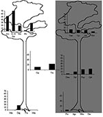 Thumbnail of Mayaro virus seroprevalence rates in Neotropical mammal species, according to 1) activity period of animals (diurnal species on the left, nocturnal species on the right, diurnal and nocturnal species in the center); 2) vertical use of space (terrestrial, arboreal, or both). Ase, Alouatta seniculus; Smi , Saguinus midas; Ssc, Saimiri sciureus; Ppi, Pithecia pithecia; Btr, Bradypus tridactylus; Cdd, Choloepus didactylus; Tte, Tamandua tetradactyla; Car, carnivores (Nasua nasua and Eir