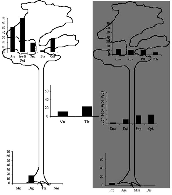 Mayaro virus seroprevalence rates in Neotropical mammal species, according to 1) activity period of animals (diurnal species on the left, nocturnal species on the right, diurnal and nocturnal species in the center); 2) vertical use of space (terrestrial, arboreal, or both). Ase, Alouatta seniculus; Smi , Saguinus midas; Ssc, Saimiri sciureus; Ppi, Pithecia pithecia; Btr, Bradypus tridactylus; Cdd, Choloepus didactylus; Tte, Tamandua tetradactyla; Car, carnivores (Nasua nasua and Eira barbara); C