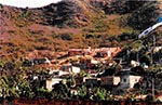 Thumbnail of A characteristic habitat in spotted fever–endemic area, Brazil.