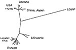 Thumbnail of Phylogenetic tree of 432 nucleotide-long open reading frame (ORF) 5 segments of European and North American porcine reproductive and respiratory syndrome viruses and lactate dehydrogenase-elevating virus–P. The sequences correspond to nucleotide 97-526 of ORF5 of the European porcine reproductive and respiratory syndrome virus isolates (provided by T. Stadejek). LDV, lactate dehydrogenase-elevating virus.