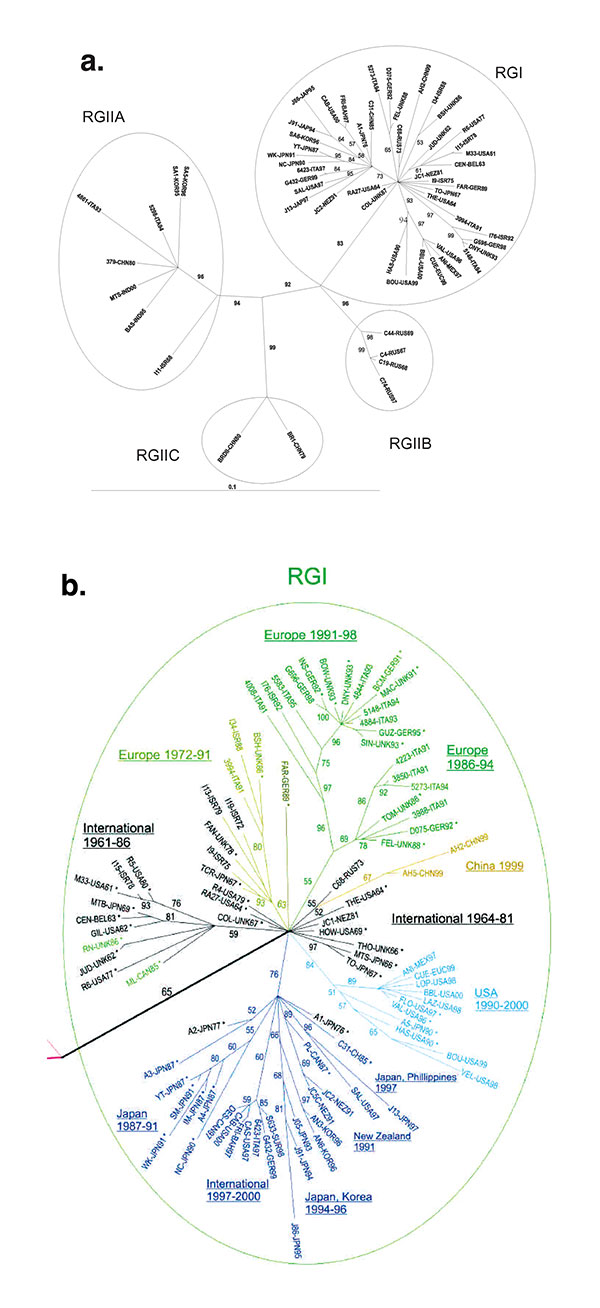 Phylogenetic trees. Unrooted tree was made by the maximum likelihood method in the Tree-Puzzle 5.0 program (25,000 puzzling steps for the tree in A; 10,000 puzzling steps for the tree in B) using the complete E1 gene sequence (1179 nt). Bootstrapping values (out of 100) for each node are given. The tree in A was constructed with half of the rubella genotype I (RGI) and all of the RGII sequences (to allow the reader to read the RGI virus designations); the tree in B is a blowup of the RGI node fr