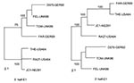 Thumbnail of Phylogenetic trees. Trees were made by the maximum likelihood method in the Tree-Puzzle 5.0 program (1,000 puzzling steps) using the 5′ half (640 nt: 8291–8930) or 3′ half (539 nt: 8931–9469) of the E1 gene sequence. Bootstrapping values (out of 100) for each node are given.