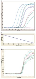 Thumbnail of RealArt HPA-Coronavirus LightCycler (RealArt HPA Coronavirus RT-PCR) reverse transcription-polymerase chain reaction (PCR) Assay results. PCR results from 5 μL RNA are displayed in channel F1/F2 of the LightCycler instrument (A). Four quantification standards are included in the assay to generate a standard curve (B). An internal control, added at the RNA isolation stage, is used to monitor both the quality of the RNA isolation as well as possible PCR inhibition (C).