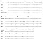 Thumbnail of Deduced amino acid sequence of PSE-1 (A), and OXA-2 (B) related enzymes that could be detected by polymerase chain reaction. Amino acids in boldface correspond to the regions of the primers. Dots indicate identical amino acids, and dashes indicated omitted regions with identical amino acids. Numbers correspond to amino acid position. Sequences obtained are underlined. GenBank accession no. of sequences are: PSE-1: Q03170, PSE-4: P16897, PSE-5: AAG23870, CARB-3: P37322, CARB-8: AAM92