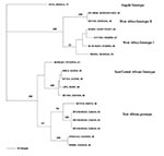 Thumbnail of Phylogenetic tree showing the relationship between yellow fever virus circulating during the outbreak in southern Sudan in 2003 and other isolates from previous outbreaks in Africa, determined by using a 572-bp region of the genome, a weighted parsimony method and Phylogenetic Analysis Using Parsimony (PAUP) software. Node values indicate bootstrap confidence values generated from 100 replicates (heuristic search).