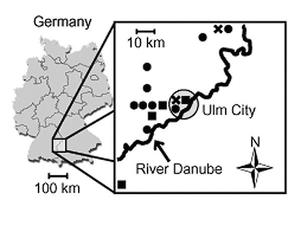 Residence of 15 study patients with hantavirus infection and nephropathia epidemica, according to year of diagnosis (X, November–December 1998; black circle, January–May 2000; black square, September–November 2001). Note the River Danube as a potential natural barrier of Puumala virus hantavirus infection. Shaded circle indicates Ulm city.