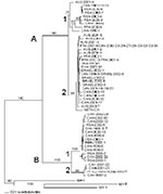 Thumbnail of Phylogenetic analysis of the fusion (F) gene of 64 human metapneumovirus (HMPV) strains recovered from various countries (CAN, Canada; RSA, Republic of South Africa; FRA, France; AUS, Australia; NETH, the Netherlands). Neighbor-Joining consensus tree was obtained from the nucleic acid alignment representing nucleotides 60–708 of the HMPV prototype sequence NETH-001. Numbers represent the frequency of occurrence of nodes in 500 bootstrap replicas.