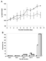 Thumbnail of Mice inoculated with severe acute respiratory syndrome–associated coronavirus showed decreased weight gain and developed neutralizing antibodies. A. Average percentage original weight for 2 to 5 mock-inoculated (gray line and solid squares) and 6 to 15 virus-inoculated (solid line and open circles) mice. Error bars represent 1 standard deviation. B. Neutralization titers reported as reciprocal of serum dilution for individual mock-inoculated (solid bars) and virus-inoculated (hashed