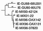 Thumbnail of Maximum parsimony phylogenetic tree derived from complete genomic sequences showing relationships of the newly isolated Venezuelan equine encephalitis virus (VEEV) strain (MX01-22) to other strains from Mexico and Guatemala. Numbers indicate nucleotide substitutions assigned to each branch. All nodes had bootstrap values of 100%, except the OAX131-37820 (62%) and GU68-GU80 (&lt;50%) groupings. Relative rates tests applied to the branches indicated a rate of nucleotide substitution i