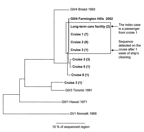 Phylogram of 9 norovirus sequence types detected in outbreaks on ship X, 4 reference sequences from GenBank, and the Farmington Hills virus. The tree is based on a 277-nucleotide region (region C) of the capsid gene and was created using uncorrected distances calculated by the DISTANCES program (Genetics Computer Group, Madison, WI) and was constructed by neighbor-joining using the GROWTREE program version 10.3 (Genetics Computer Group). Numbers in parenthesis indicate number of samples with the