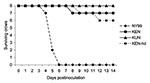 Thumbnail of Survivorship of eight American Crows, each injected with 3.2 log10 PFU of NY99, KEN, or KUN virus. An additional eight crows were injected with a high dose (hd) of the KEN virus (3.8 log10 PFU). Crows were monitored daily for signs of disease through 14 dpi. No deaths were found within the control group (data not shown).