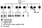 Thumbnail of Testing for Schistosoma mansoni infection among family members 5 years after trip to Kenya. See text for further description of testing.