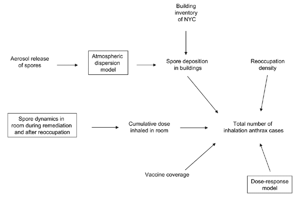 Graphic overview of the mathematical model. Mathematical submodels are in boxes. NYC, New York City.