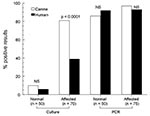 Thumbnail of Rates of detection of Malassezia pachydermatis on canine and human skin by 2 laboratory techniques. A normal group of dogs and a group known to harbor M. pachydermatis infection, paired with their respective owners, are represented. NS, nonsignificant; PCR, polymerase chain reaction.