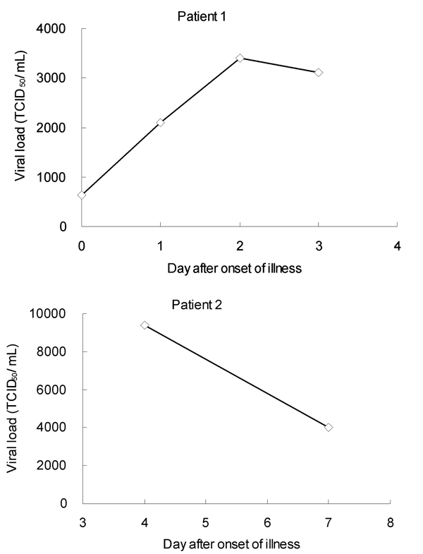 Serial quantitative analysis for influenza A H5N1 virus in respiratory samples from 2 patients with H5N1 in 1997 by quantitative real-time reverse transcription–polymerase chain reaction assay. TCID50, 50% tissue culture infective dose.