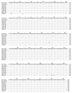 Thumbnail of Comparison of the G proteins of Nipah virus (NiV) strains from Malaysia and Cambodia. The alignment shows the predicted amino acid sequence of the G protein of the Malaysian human strain (GenBank accession no. AF212302) and indicates positions that differ in the N proteins. Numbers correspond to amino acid positions in the NiV N protein; stars marks lengths of 10 amino acids; dots indicate identical amino acids.