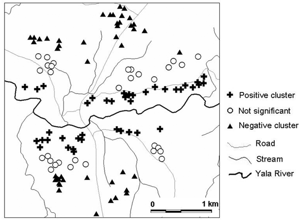 Significant clustering of Plasmodium falciparum infection intensities in Iguhu village for children 0–9 years of age.