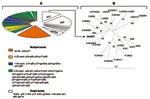 Thumbnail of A) Distribution of HIV-1 Western blot–indeterminate patterns among 69 serum specimens from Kinshasa, Zaire, reactive by enzyme immunoassay. B) Phylogenetic classification of HIV-1 protease sequence ZA30972 (GenBank accession no. AY562558) isolated from the p17 gag-reactive serum. The phylogenetic tree was generated by the neighbor-joining method with the nucleotide distance calculated by Kimura 2-parameter method (12), included in the GeneStudio package (http://www.genestudio.com). 