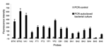 Thumbnail of Array detection of single polymerase chain reaction (PCR) products from autoclaved bacterial cultures of the 6 microorganisms listed in Table A3 by using single bead–type arrays. PCR and array hybridization conditions are described in the Appendix. Single bead–type arrays were fabricated containing ≈100 replicates of each microsphere probe. The standard deviation (SD) of background images is 15 (N = 3), and the detection limit is 45, defined as 3 × SD.