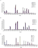 Thumbnail of Simultaneous array detection of biological warfare agents in mixed autoclaved bacterial culture samples amplified with primer pool I (A), primer pool II (B), and wastewater samples spiked with primer pool I (C). Mixed samples were prepared by mixing Bacillus anthracis with B. thuringiensis kurstaki at 1:1, 1:5 and 1:9 ratios and Yersinia pestis with Francisella tularensis at 1:1 and 1:9 ratios. Wastewater samples were prepared by spiking individual autoclaved bacterial cultures of B