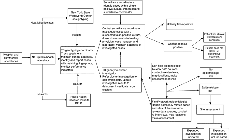 Summary of tuberculosis (TB) genotyping activities, New York City, 2001–2003. NYC, New York City; LJ, Lowenstein-Jensen; RFLP, restriction fragment length polymorphism.