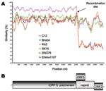 Thumbnail of A) SimPlot analysis of 7 sapovirus (SaV) complete genome sequences. The Mc10 genome sequence was compared to C12, Bristol, Mc2, SK15, SW278, and Ehime1107 by using a window size of 100 bp with an increment of 20 bp. All gaps were removed. The recombination site is suspected to be located between the polymerase and capsid gene, as shown by the arrows. B) Genomic organization of the SaV SW278 and Ehime1107 strains.