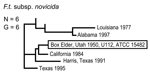 Thumbnail of Genetic relationships among 6 North American Francisella tularensis subsp. novicida isolates based upon allelic differences at 24 variable number tandem repeat (VNTR) markers. County, state, and year of isolation are specified to the right of each branch or clade. G indicates number of distinct VNTR marker genotypes, and boxed designation indicates F. tularensis subsp. novicida type strain Utah 112 (U112).