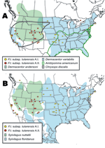 Thumbnail of Spatial distributions of isolates from the A.I. and A.II. subpopulations of Francisella tularensis subsp. tularensis relative to A) distribution of tularemia vectors Dermacentor variabilis, D. andersoni, Amblyomma americanum, and Chrysops discalis; and B) distribution of tularemia hosts Sylvilagus nuttallii and S. floridanus.