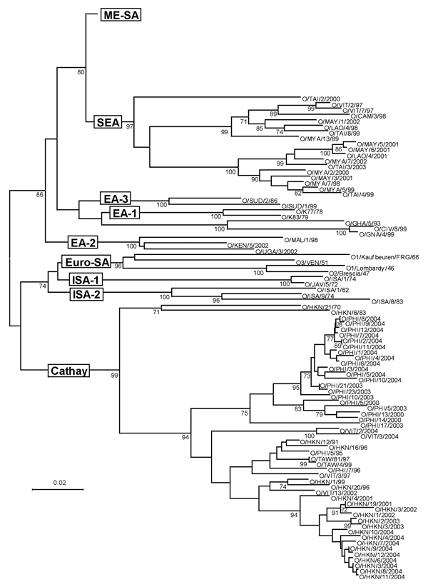 Midpoint-rooted neighbor-joining tree showing the Cathay, Europe-South America (Euro-SA), Indonesia-1 (ISA-1), Indonesia-2 (ISA-2), West Africa (WA), East Africa 1 (EA-1), East Africa 2 (EA-2), and East Africa 3 (EA-3) topotypes. Only bootstrap values &gt;70% are shown.