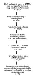 Thumbnail of Flow chart of microbiologic analysis of fecal samples. DPM, direct plating method.